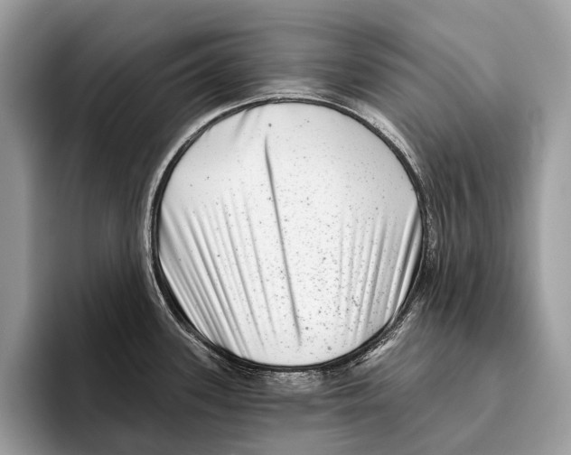 X0000095531339200801111405