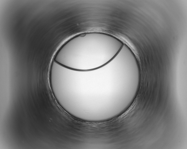 X0000095531340200801111405