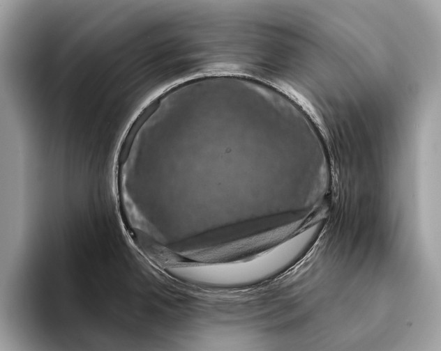 X0000095531342200801111405