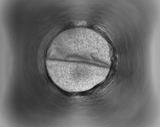 X0000095531345200801111405