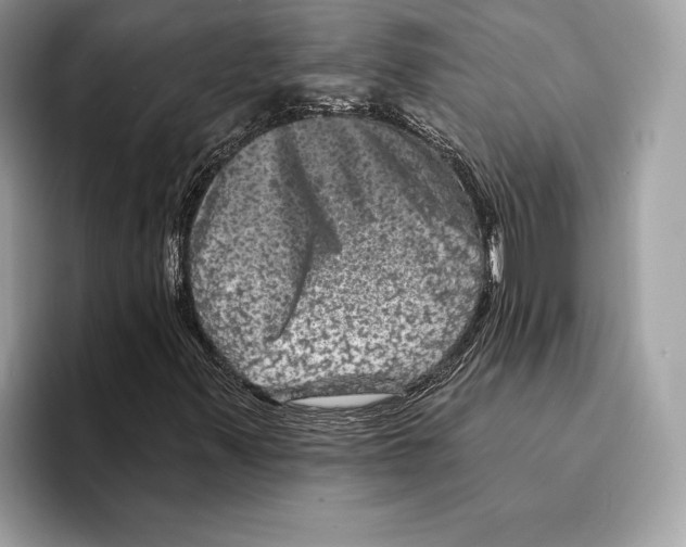 X0000095531347200801111405