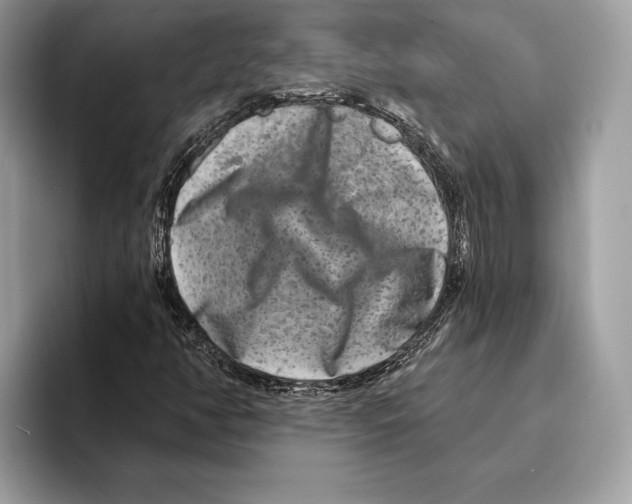 X0000095531350200801111405