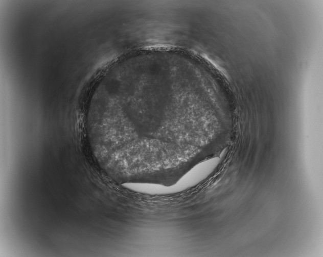 X0000095531351200801111405