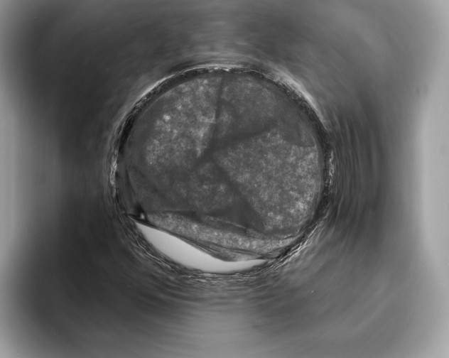 X0000095531352200801111405