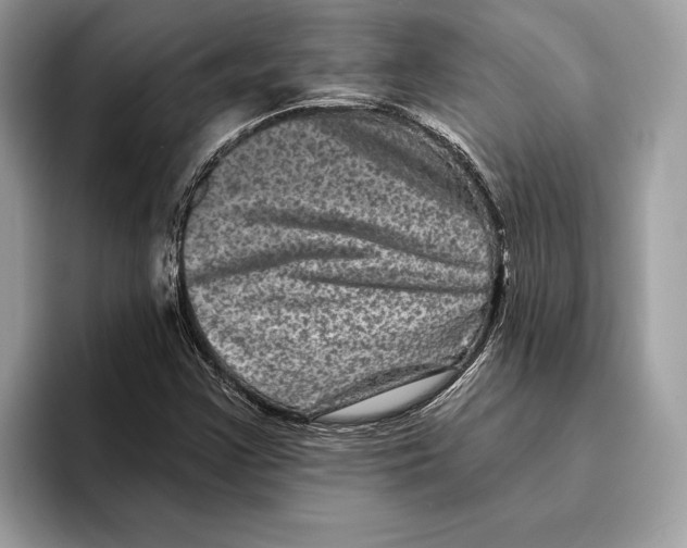 X0000095531355200801111405