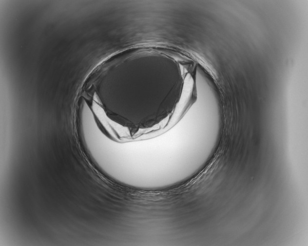 X0000095531356200801111405