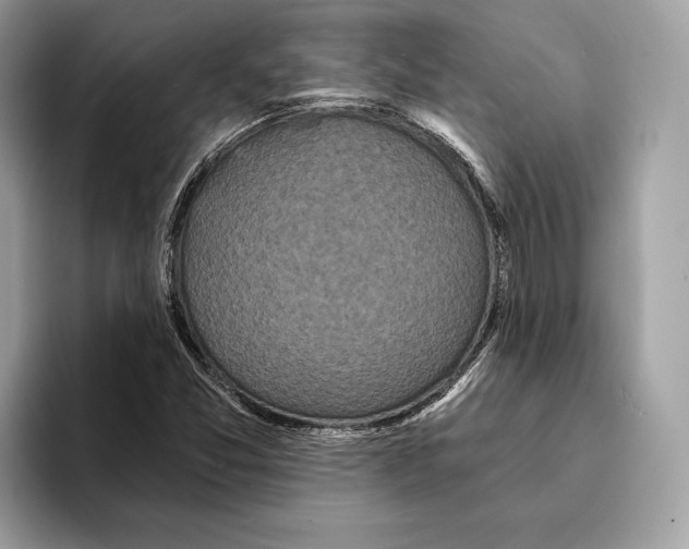 X0000095531357200801111405