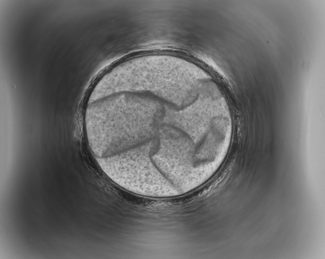 X0000095531358200801111405