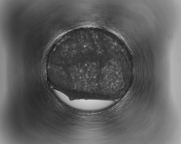 X0000095531359200801111405