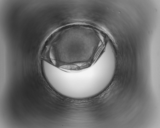 X0000095531360200801111405