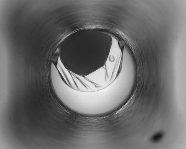 X0000095531361200801111405