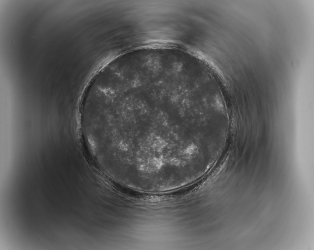 X0000095531362200801111405