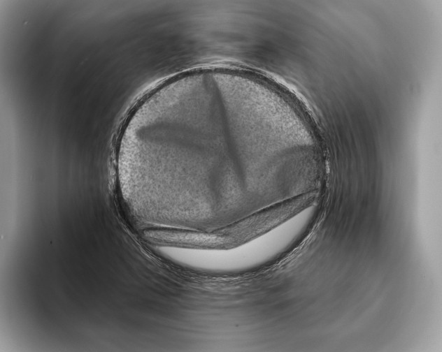 X0000095531363200801111405