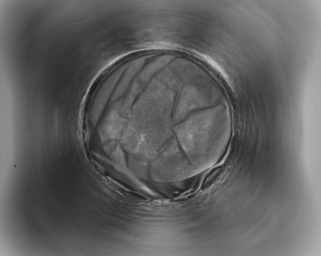 X0000095531364200801111405