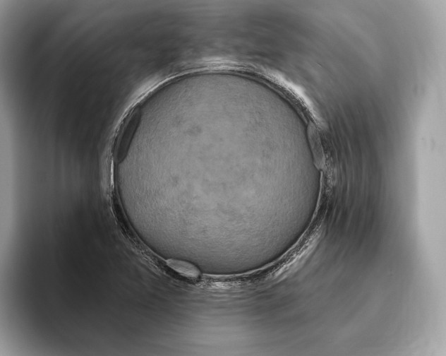 X0000095531365200801111405