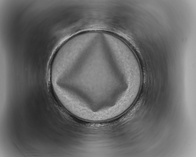 X0000095531366200801111405