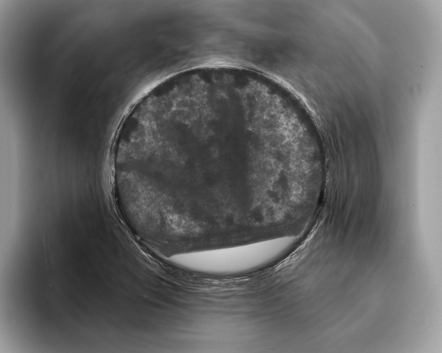 X0000095531367200801111404