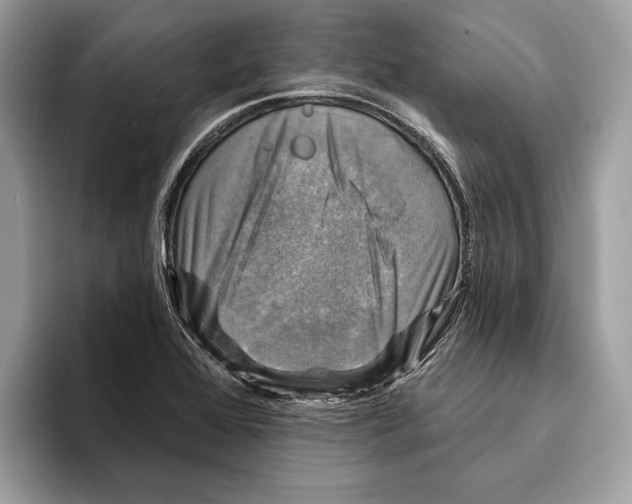 X0000095531368200801111404