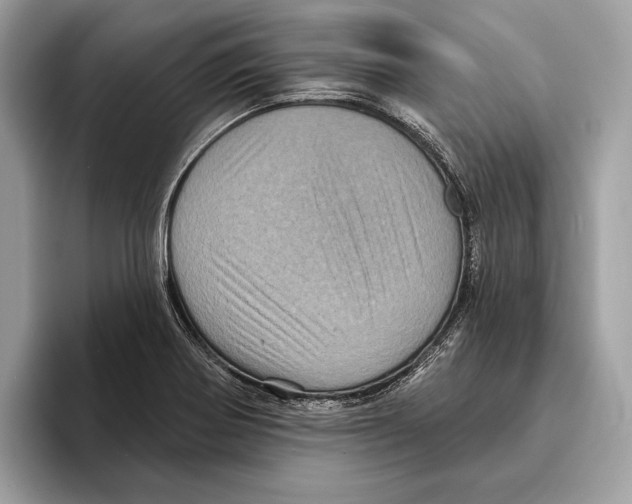 X0000095531370200801111404