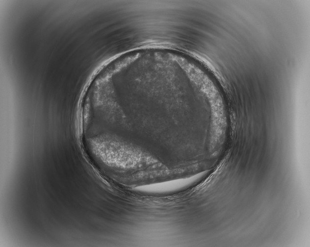 X0000095531371200801111404