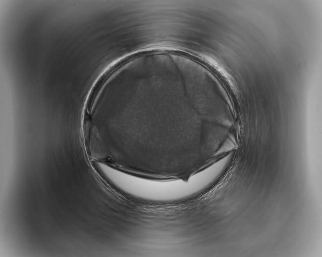 X0000095531372200801111404