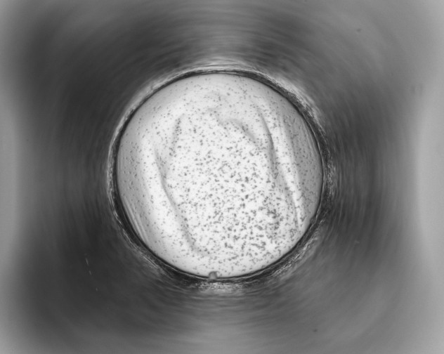 X0000095531374200801111404