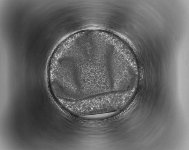 X0000095531375200801111404