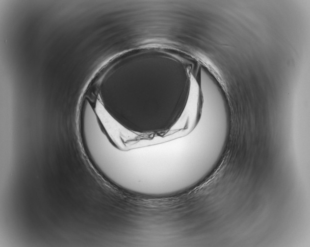 X0000095531376200801111404