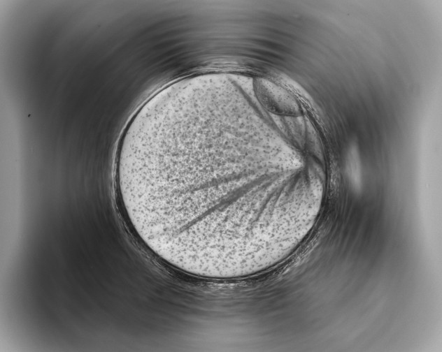 X0000095531378200801111404