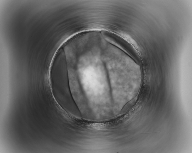 X0000095531380200801111404