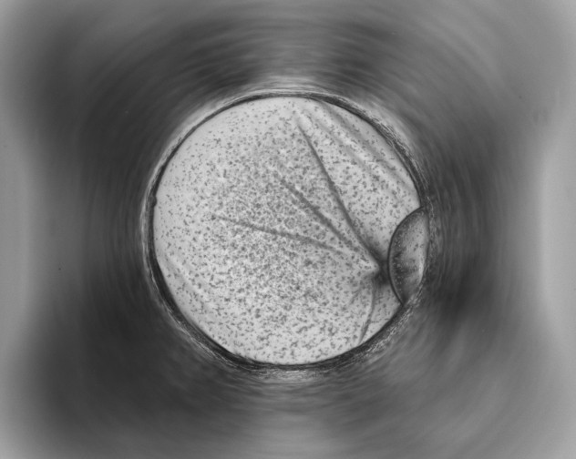 X0000095531382200801111404