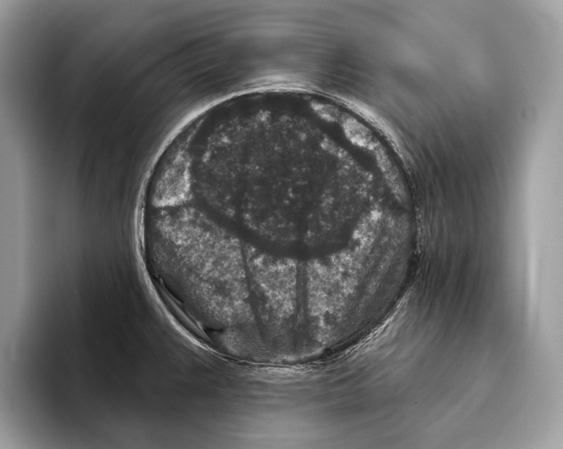 X0000095531383200801111404