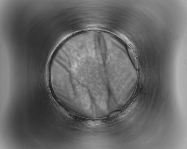 X0000095531384200801111404