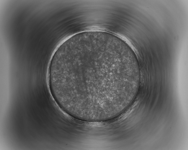 X0000095531387200801111404