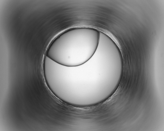 X0000095531388200801111404