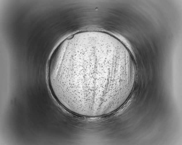 X0000095531390200801111404