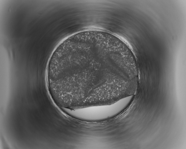 X0000095531391200801111404