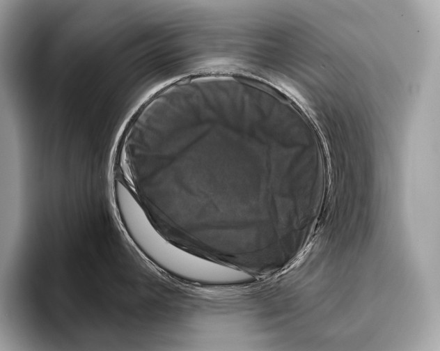 X0000095531392200801111404