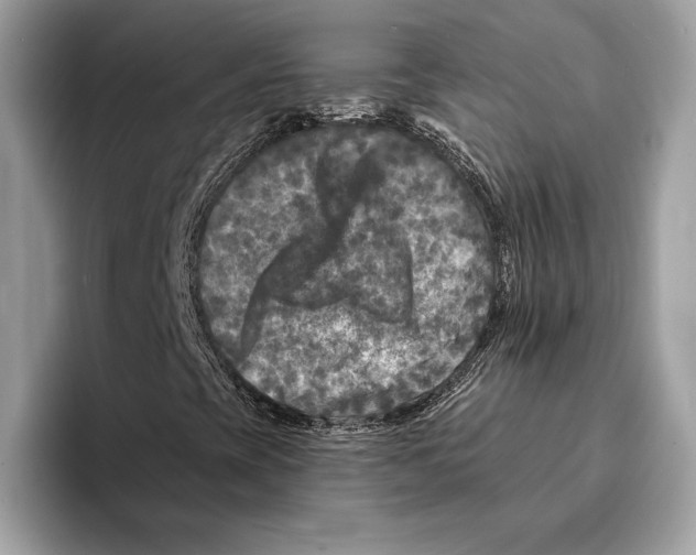 X0000095531393200801111404