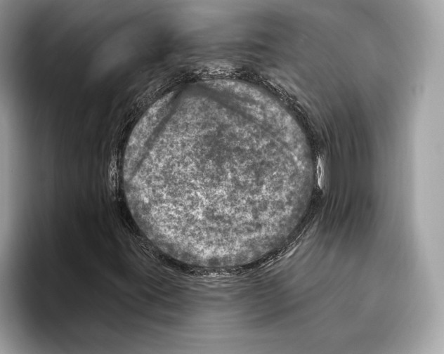 X0000095531395200801111404