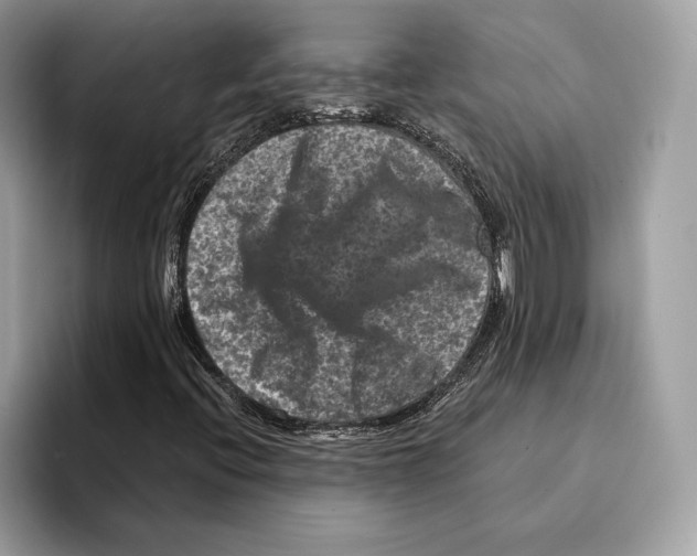 X0000095531396200801111404