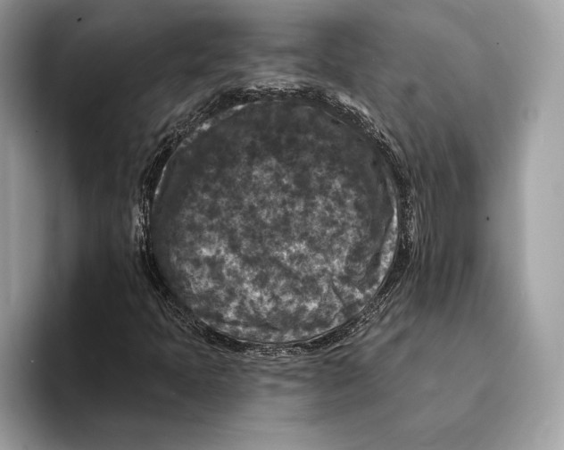 X0000095531397200801111404