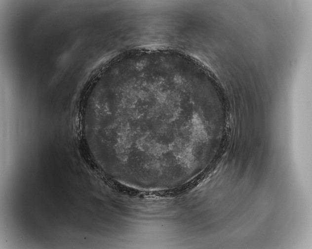 X0000095531398200801111404