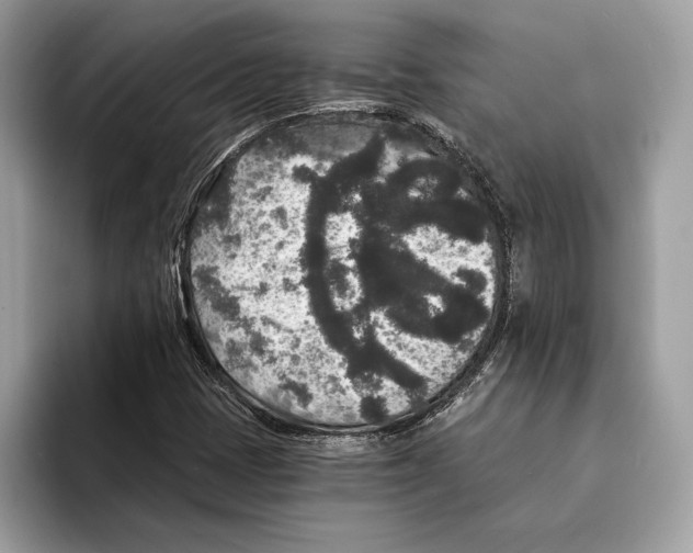 X0000095531401200801111404