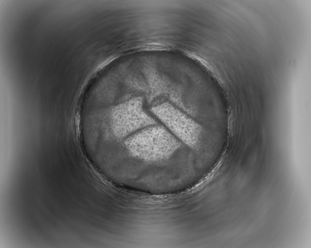 X0000095531402200801111404