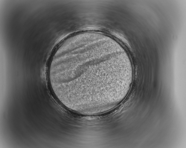 X0000095531404200801111404