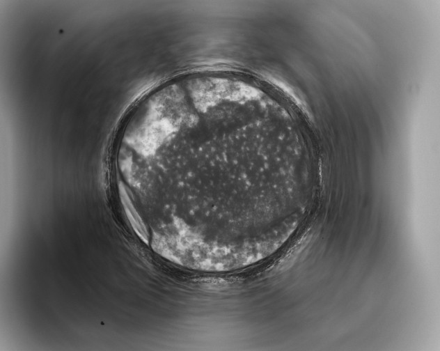 X0000095531405200801111404