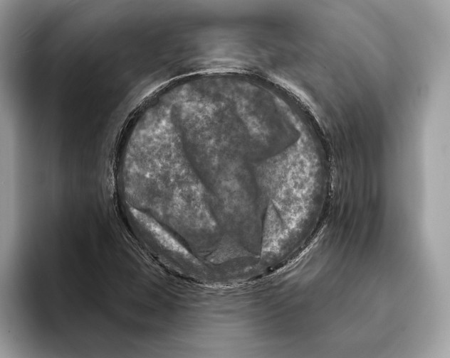 X0000095531407200801111404