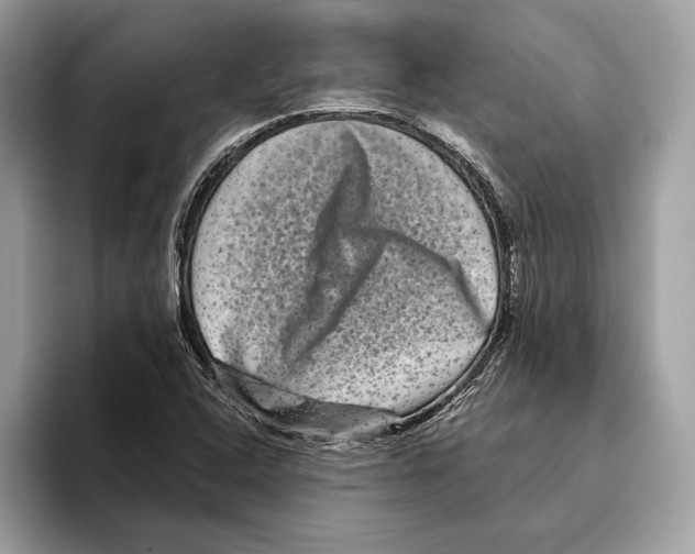 X0000095531408200801111404