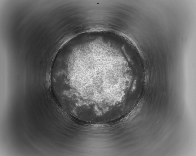 X0000095531409200801111404